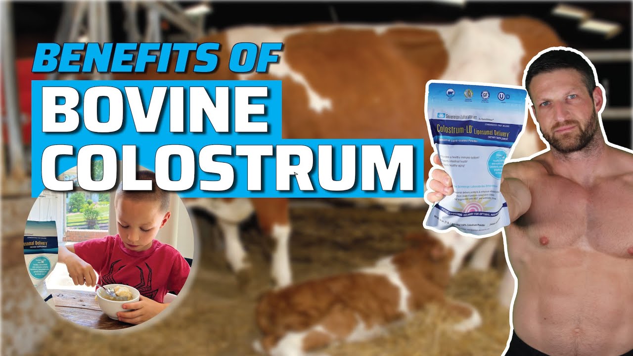 Top 4 Reasons You Should Supplement with Colostrum (Based on Science)