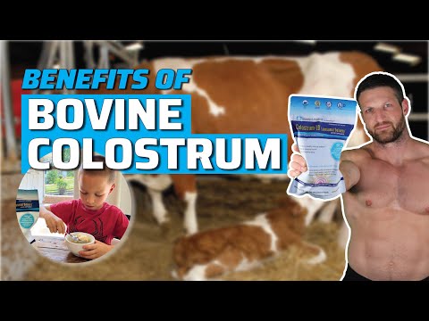 Top 4 Reasons You Should Supplement with Colostrum (Based on Science)