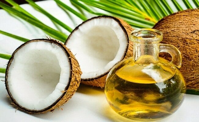 The Paleo Diet - Is saturated fat bad for your cholesterol?