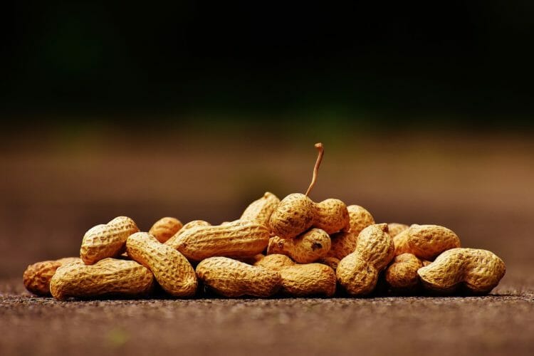 Peanuts are legumes and have anti-nutrients